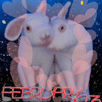 White Rabbits! It’s February 2023!