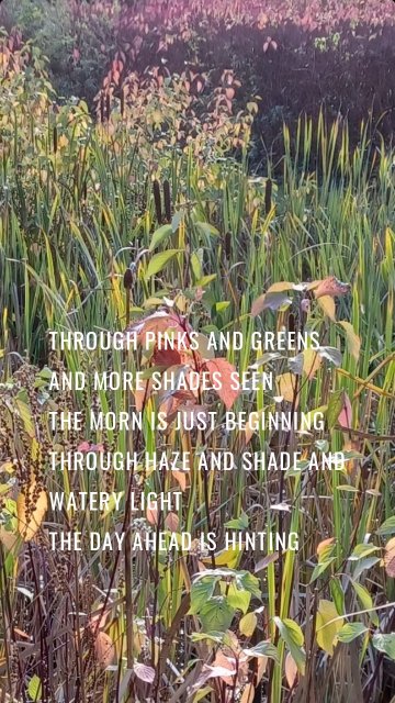 Through pinks and greens and more shades seen The morn is just beginning Through haze and shade and watery light The day ahead is hinting